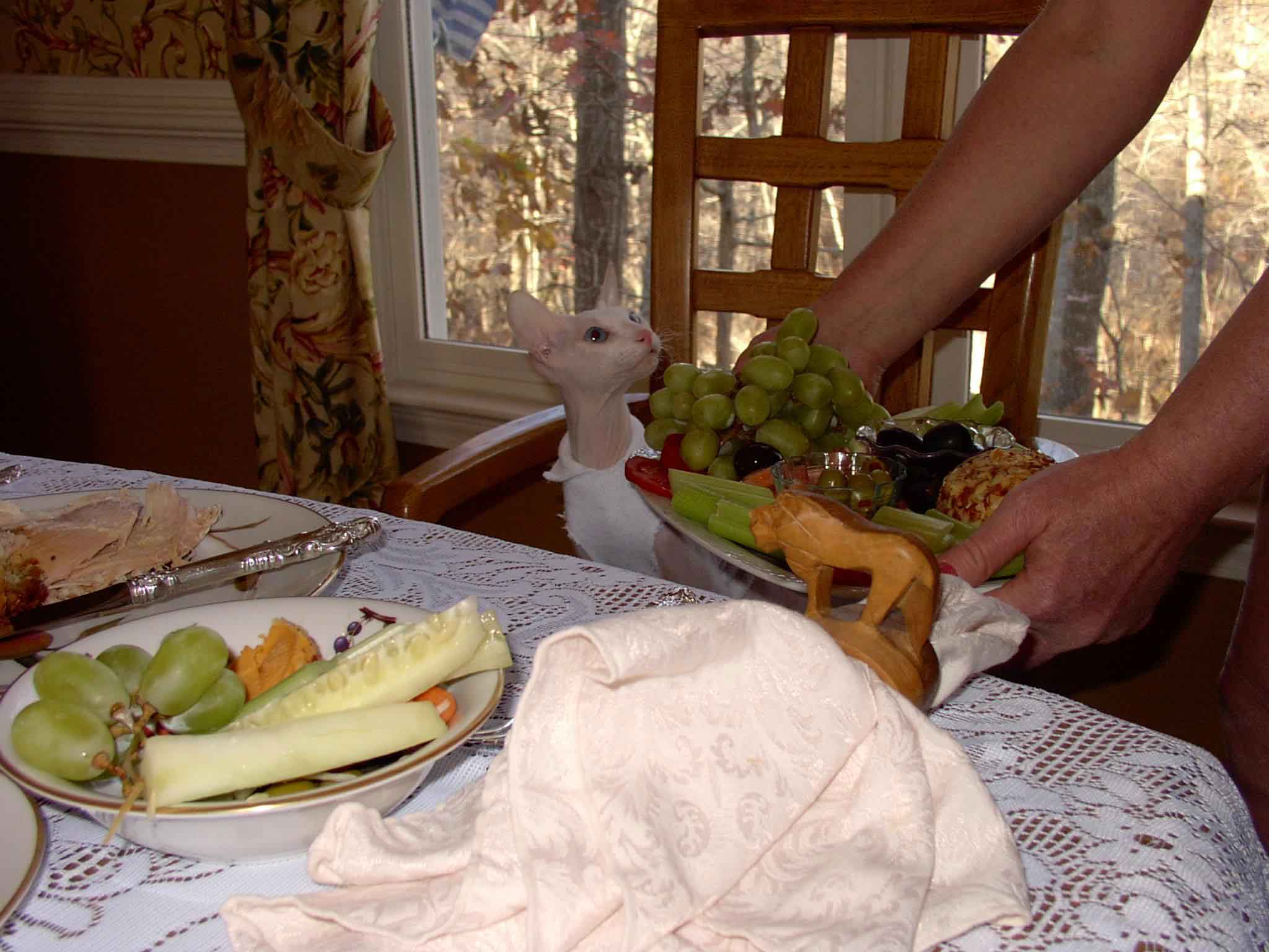 Baldwin at dinner