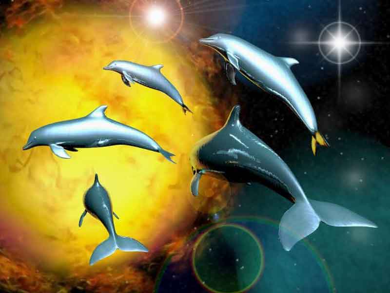 Space Dolphins