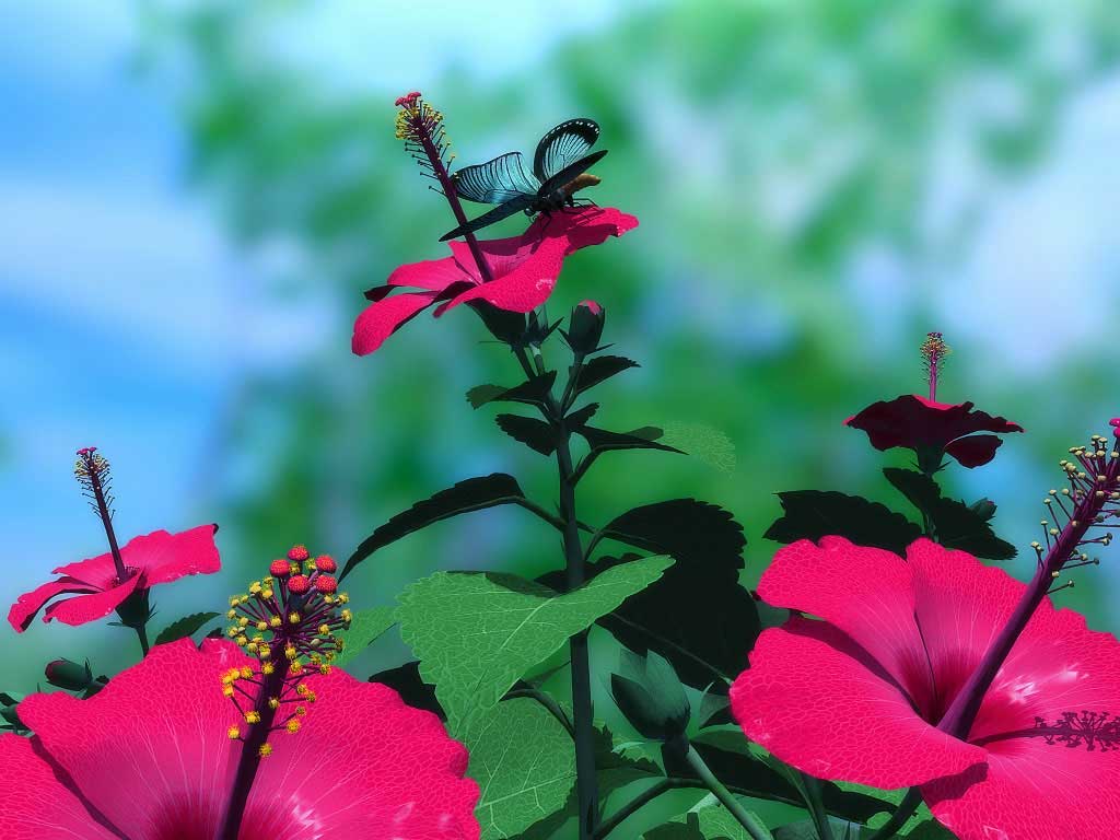 Tropical Red Beauties