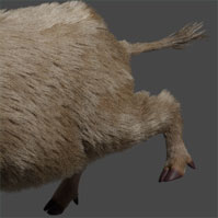 グ