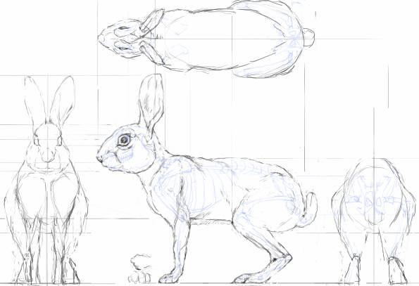 Draft