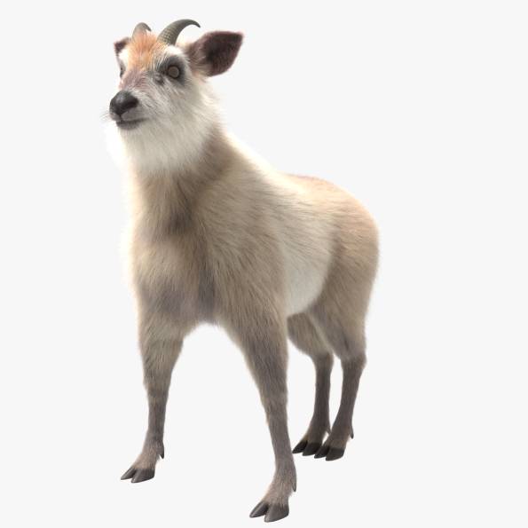 jzJVJ