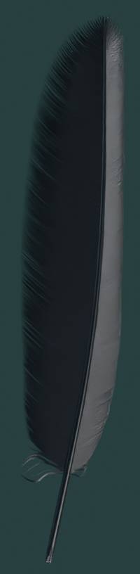 Feather