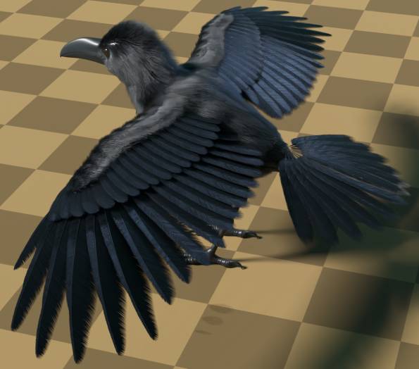 H_O