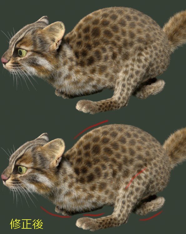 C
