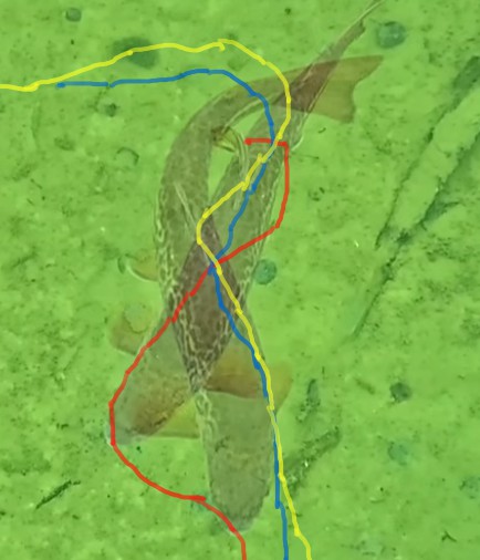 ���̃^�[��