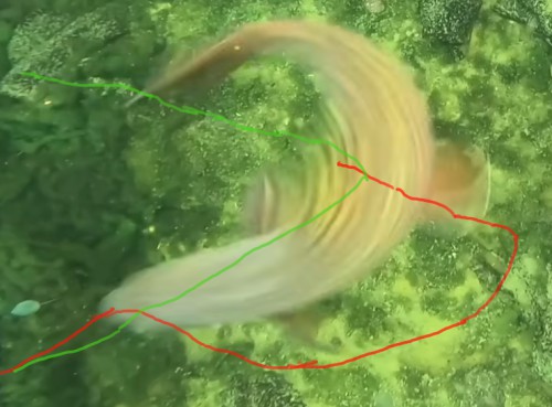 �P�U�O�x�^�[��