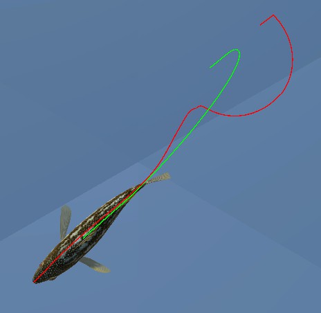 ������O��